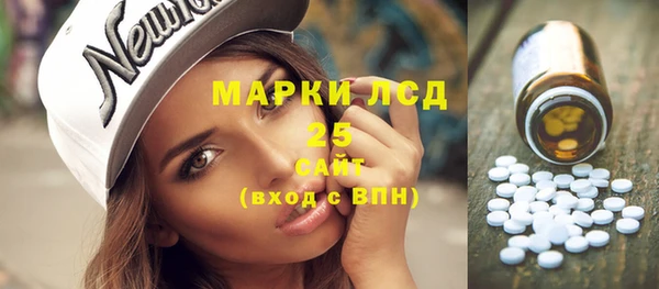 стаф Елабуга