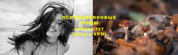 стаф Елабуга