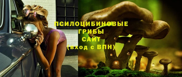 хмурый Дмитровск